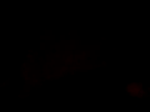 HoT BoY  Salim Khan BD online show from 02.08.26