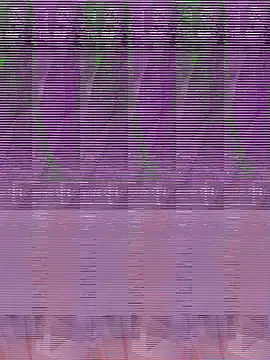 its Surya BBC online show from 12.04.25