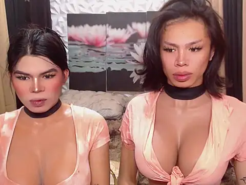 WILDROXIE online show from 12.16.25