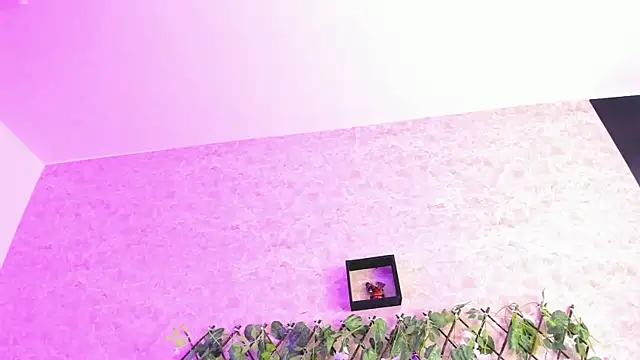 ImEmily444 online show from 10.04.25