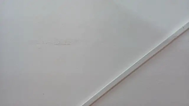 Snapshot of Lizbeth_Rouse chatting on 10.26.25 Lizbeth Rouse online show from 10.26.25