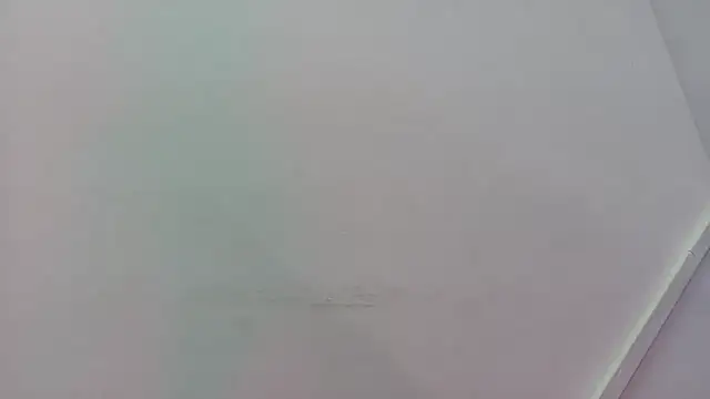 Snapshot of Lizbeth_Rouse chatting on 11.21.25 Lizbeth Rouse online show from 11.21.25