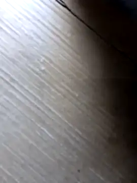 liza-212 online show from 10.10.25