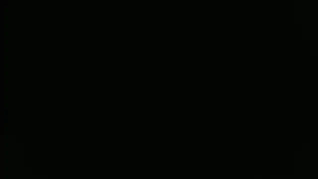 Snapshot of ParisAndVi chatting on 11.11.25 ParisAndVi online show from 11.11.25