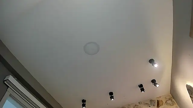 Snapshot of VenusBlazer chatting on 02.14.26 VenusBlazer online show from 02.14.26