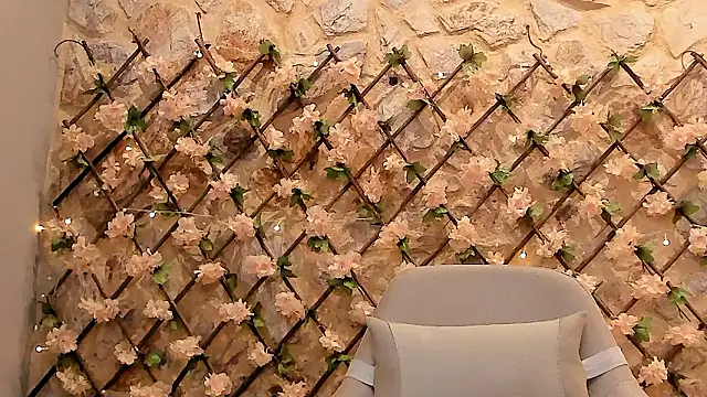 Snapshot of VenusBlazer chatting on 02.25.26 VenusBlazer online show from 02.25.26