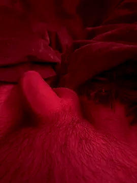 Snapshot of couplefuck__ chatting on 12.16.25 couplefuck online show from 12.16.25