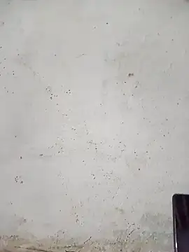 MISS LOVE 001 online show from 01.08.26