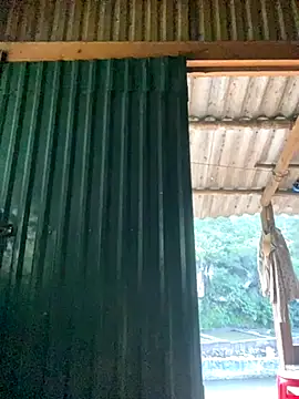 PhanHaa online show from 10.02.25