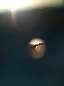 Snapshot of Sonya51561 chatting on 11.26.25 Sonya51561 online show from 11.26.25