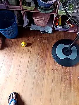 WholeAltimeter25 online show from 11.27.25