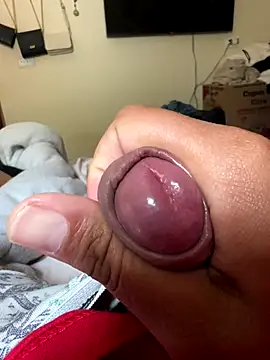 Ksc1802 online show from 11.12.25