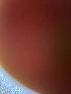 monster20cm online show from 03.02.26