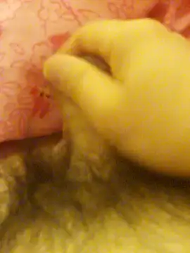 Hl1979 online show from 02.27.26