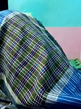 dolphiinn online show from 11.15.25