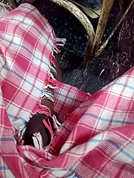 dolphiinn online show from 01.13.26