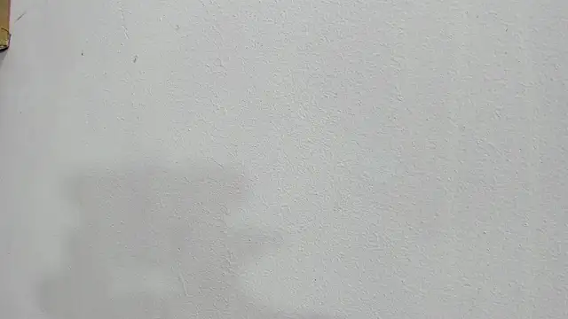 scarlett646 online show from 10.25.25