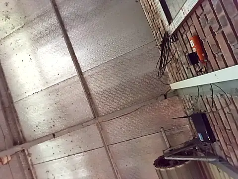 Fienjr online show from 03.29.26