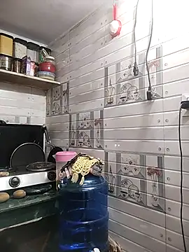 Snapshot of meenu_bhabhi547 chatting on 04.15.26 meenu bhabhi547 online show from 04.15.26