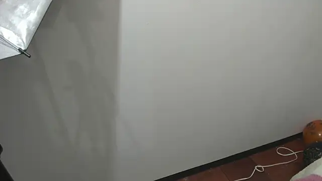 Snapshot of nina_vixen chatting on 10.31.25 nina vixen online show from 10.31.25