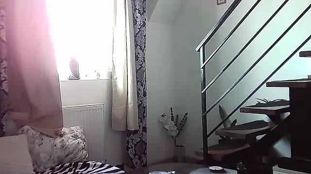 RyanStorm  online show from 09.12.25