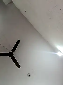 Appypie online show from 11.07.25