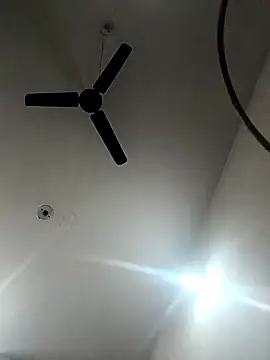 Appypie online show from 11.18.25