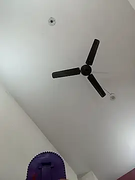 Appypie online show from 01.11.26