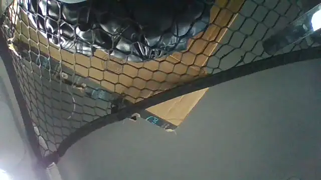 Leshok online show from 09.11.25