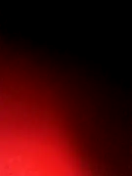 BlackCobraOwner online show from 10.15.25