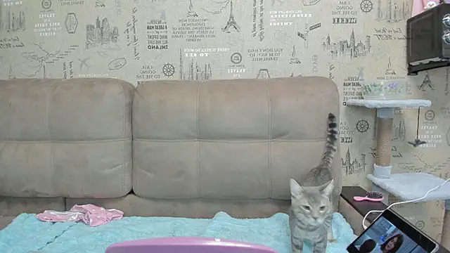 Snapshot of Kelly_Gerzikaa chatting on 11.29.25 Kelly Gerzikaa online show from 11.29.25