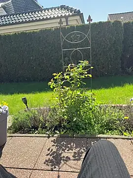 jovi Yeylo187 online show from 04.21.26