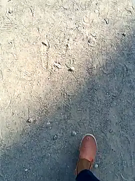 beerant online show from 11.16.25