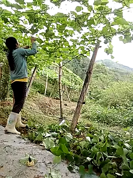 ngan-cute online show from 05.13.26