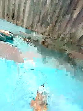 Hot-honi online show from 12.22.25