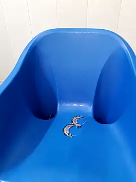 Snapshot of siya_rani67 chatting on 09.14.25 siya rani67 online show from 09.14.25