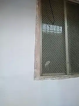 7incpink online show from 12.02.25