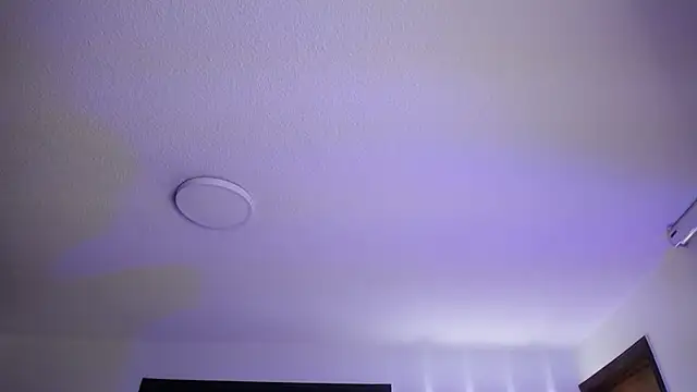  Charlotte Collins  online show from 11.03.25