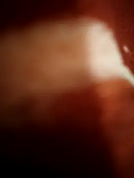 Snapshot of sexy__girls98 chatting on 11.08.25 sexy girls98 online show from 11.08.25