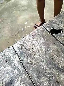 Snapshot of sexy__girls98 chatting on 12.03.25 sexy girls98 online show from 12.03.25