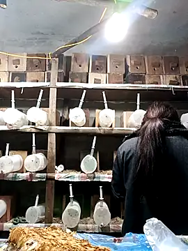 AnHa19 online show from 03.14.26