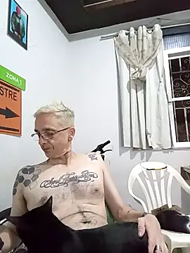 dinho carioca online show from 01.15.26