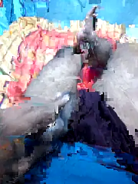 Hyd-bad-boy-25 online show from 09.27.25