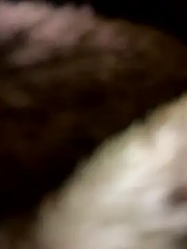 LOVE4GIRL online show from 04.12.26