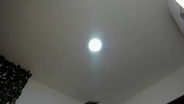 babilett online show from 03.21.26