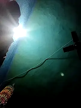 Nehaja33e online show from 11.25.25