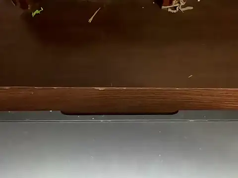 LustyDuoSecrets online show from 04.21.26