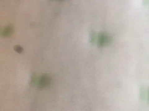 proxanne online show from 09.14.25