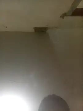 Snapshot of Bebicho14 chatting on 04.04.26 Bebicho14 online show from 04.04.26