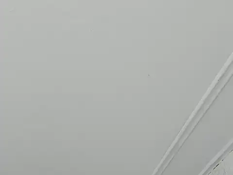 paull george online show from 11.28.25